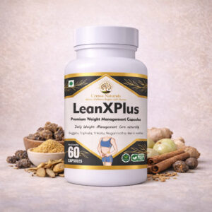 LeanXPlus